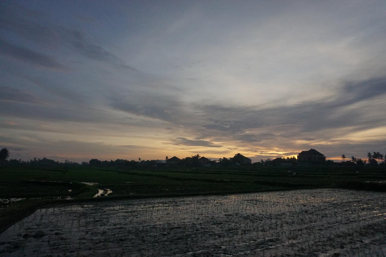 Pondok Uma Ubud Kültér fotó